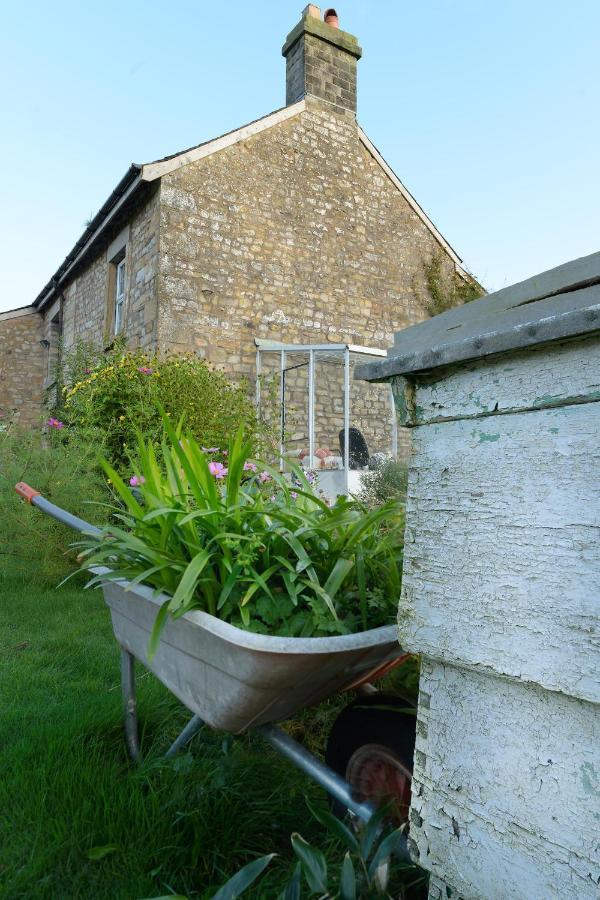 Orchard Glamping Hotel Catterall ภายนอก รูปภาพ